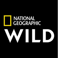 national_geo_wild